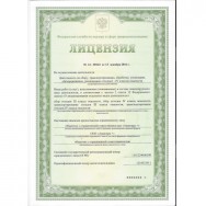 Лицензия 1 Дзержинск фото