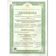 Лицензия 2 Дзержинск фото
