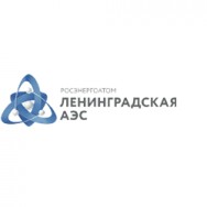 Электроэнергия г. Сосновый Бор фото